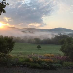 Meet your Posher, Cathy